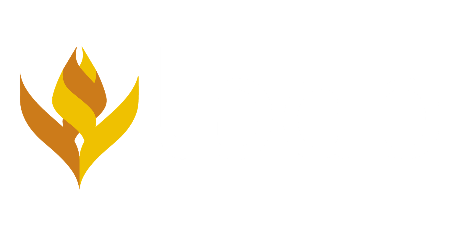 LPDP